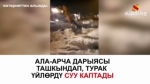 Ала-Арча дарыясы нугуна баш бербей, үйлөрдү каптоодо