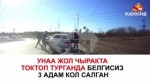 Москвада Кыргыз жаранын чак түштө тоноп кетишти