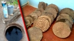 Күндүн кабарлары: Баткенде 21 кудуктун капкагын уурдаган жаран кармалды