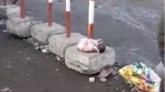 Баштыктан табылган балканактай баланын энеси табыла элек
