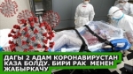 Дагы 2 адам коронавирустан каза болду