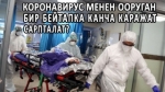 Коронавирус менен ооруган бир бейтапка канча каражат сарпталат?