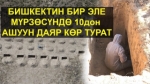 Бишкектин көрүстөндөрү. Бүгүнкү абал.                                