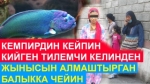 17.08.2020. Соңку күн ичиндеги жаңылыктар