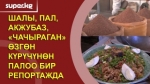 Өзгөн күрүчү - айдалгандан тартып табакка палоо болуп тартылганга чейин