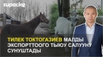 Канышай Рысбековага букет тартуулаган мырза ким?