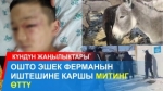 6 жаштагы баланын аёсуз сабалышы, колу-буту байланган адамдын өлүмү катталды