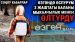  Арабасын коргогон Алмакан аттуу аялдын турмушунун жаңы жагдайлары белгилүү болду