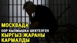 Өлкөдө оор кылмыштарды жасагандыгы үчүн издөөдө жүргөн шектүү Москва шаарында кармалды