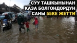 Индонезиядагы суу ташкынынан каза болгондордун саны 55ке жетти