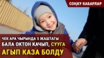 "Короо жайыма кадимкидей жайгашып, снайперге жай даярдап, үйгө кирип жатышкан" дейт Арка айылынын жашоочусу