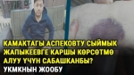 Камакта жаткан Мелис Аспеков өзүнө карата кыйноо болгонун айтып чыкты. УКМКнын жообу