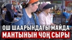 Ош шаарына саякат. Даамы менен миң сөздү айткан майда мантылар